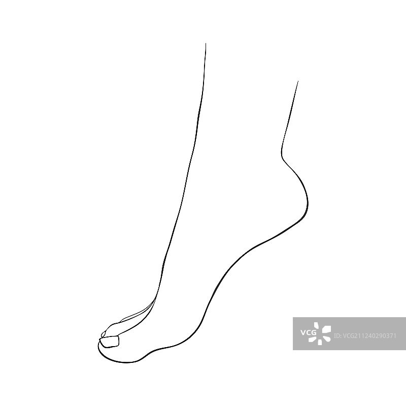 手绘女人脚图片素材