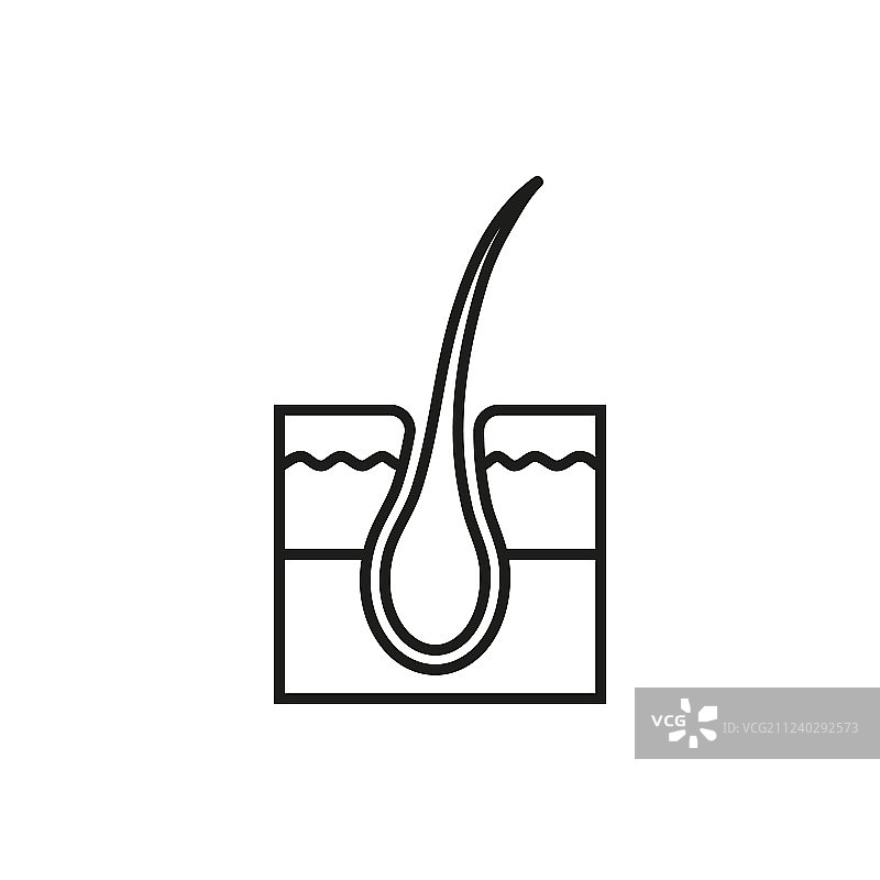 白色背景上的毛囊治疗图片素材