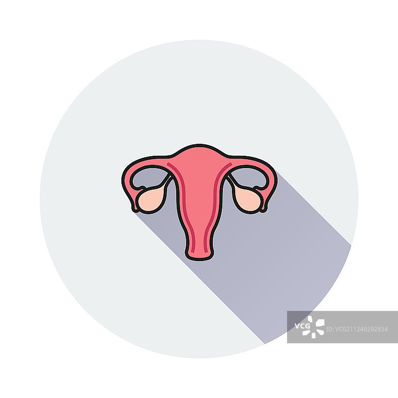 女性生殖系统图标图片素材