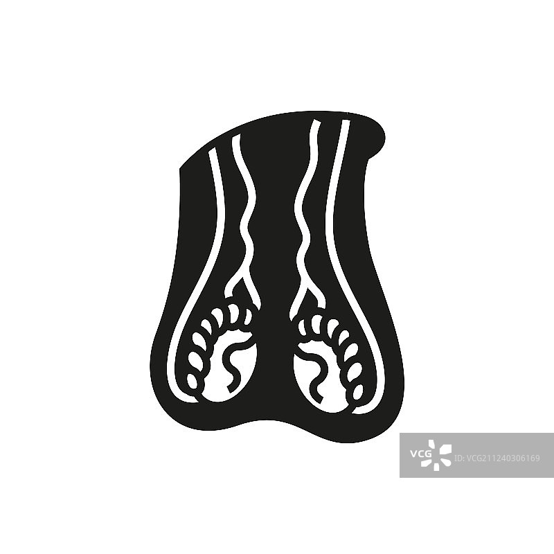 男性生殖系统图标图片素材