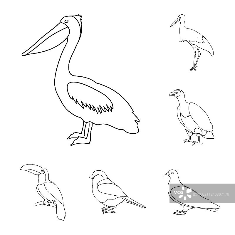 鸟类轮廓图标集图片素材