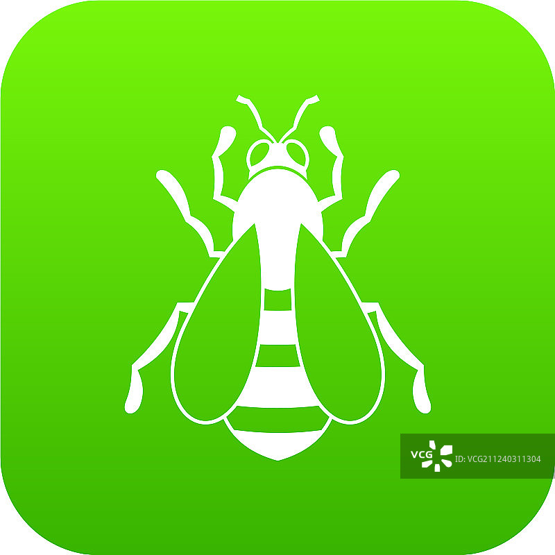 绿色蜜蜂图标图片素材