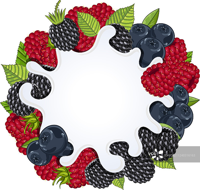 野生浆果上的酸奶飞溅图片素材