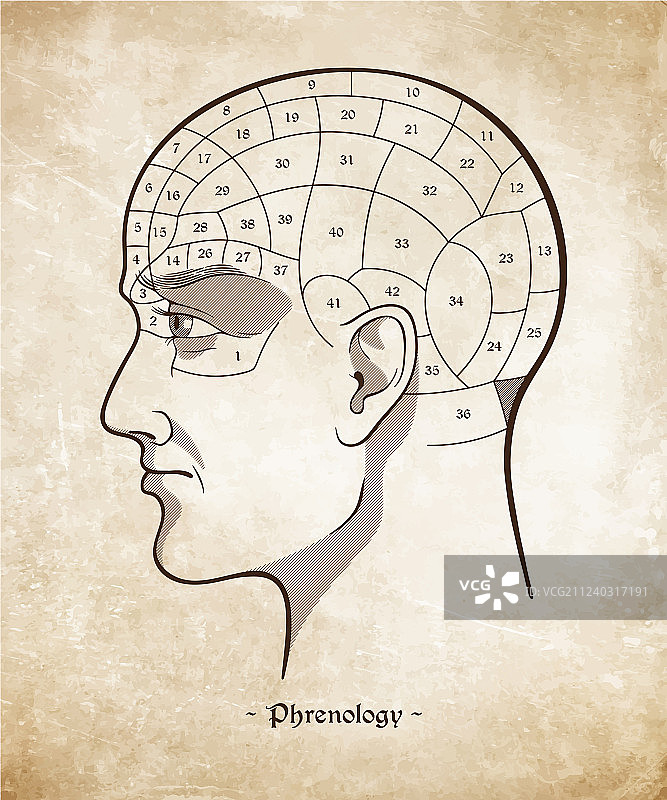 复古颅相学伪科学海报图片素材