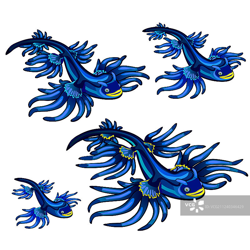 海神海蛞蝓图片素材