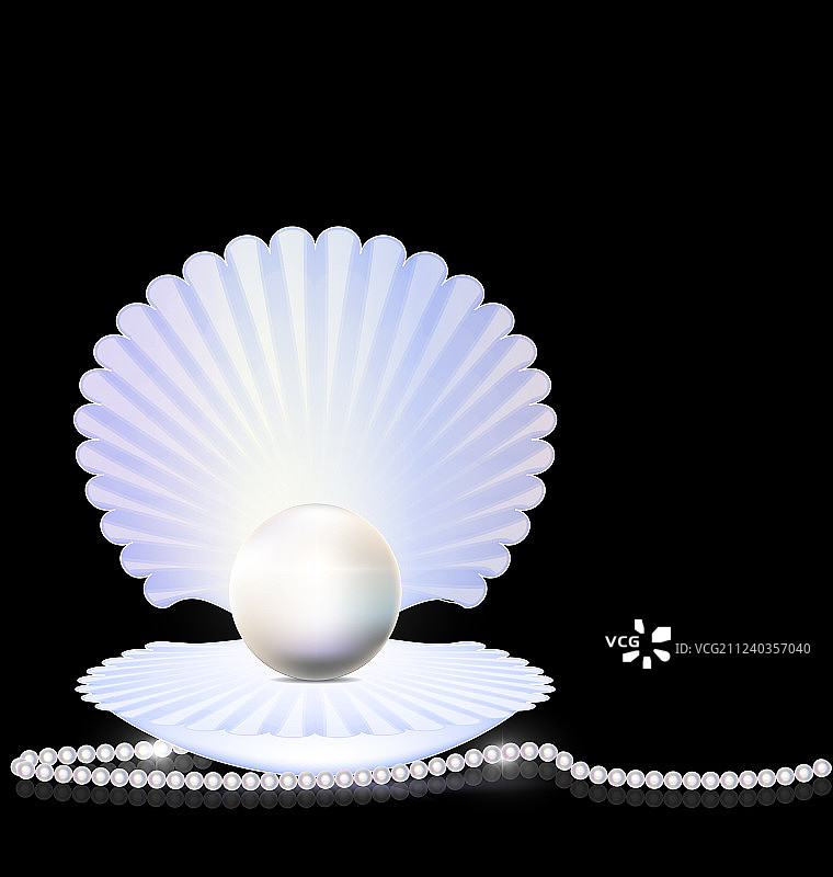 珠子和贝壳图片素材