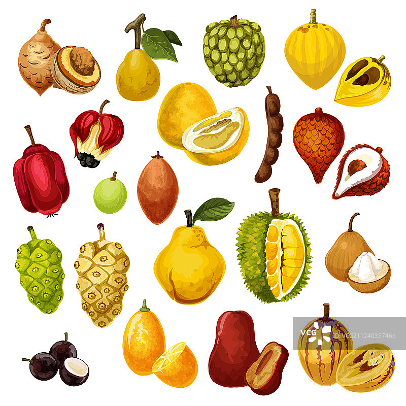 热带异域水果图标图片素材