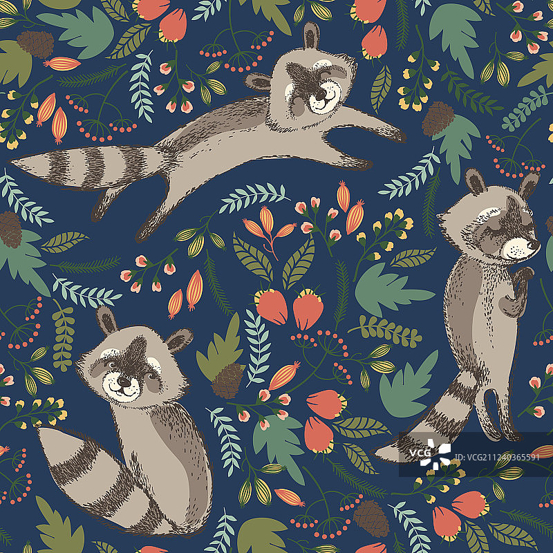 可爱浣熊图片素材