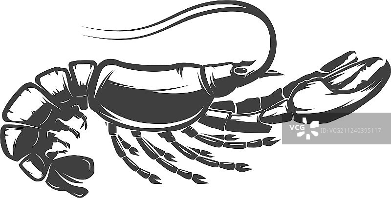 白色背景上的龙虾图标图片素材