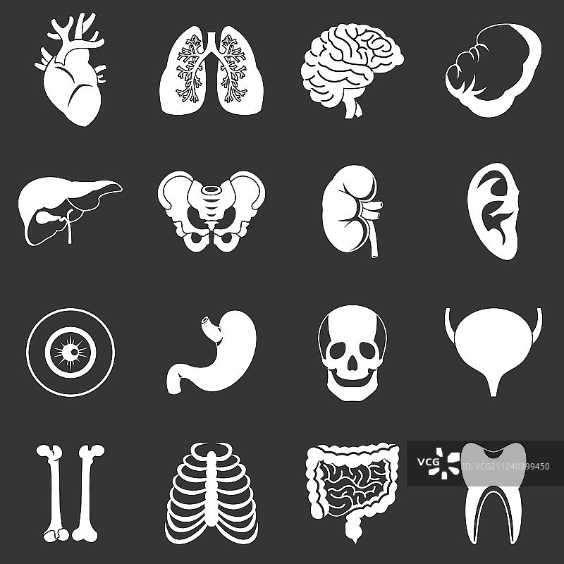 人体器官图标灰色图片素材