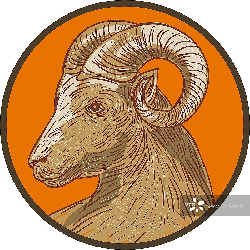 公羊山羊头像圆形图案图片素材