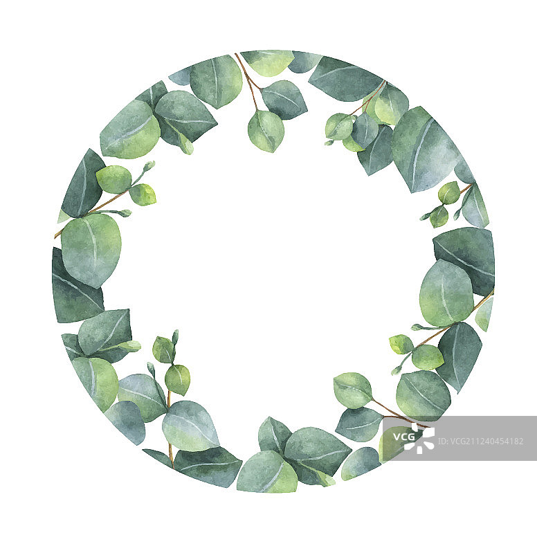 绿色桉树叶水彩画边框图片素材