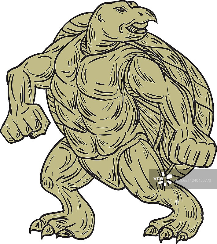 丽龟武术姿势绘画图片素材