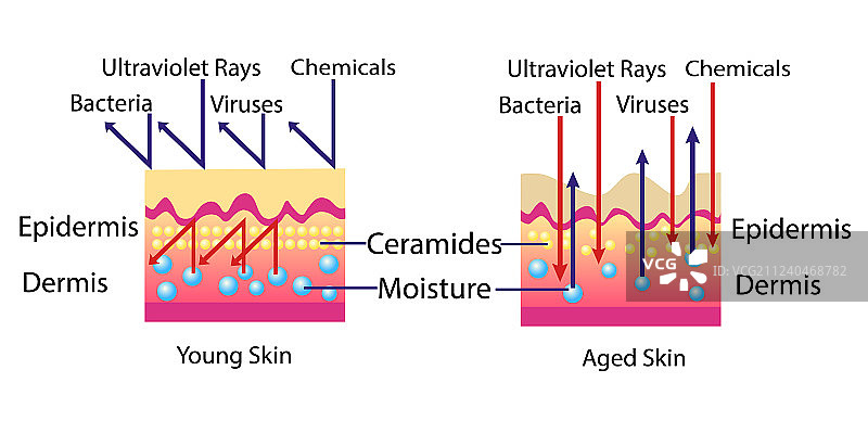 环境对皮肤的影响图示图片素材