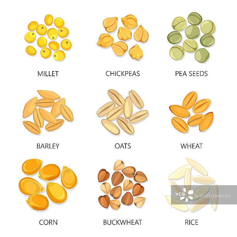 季节性植物种子豆类和谷物图标图片素材