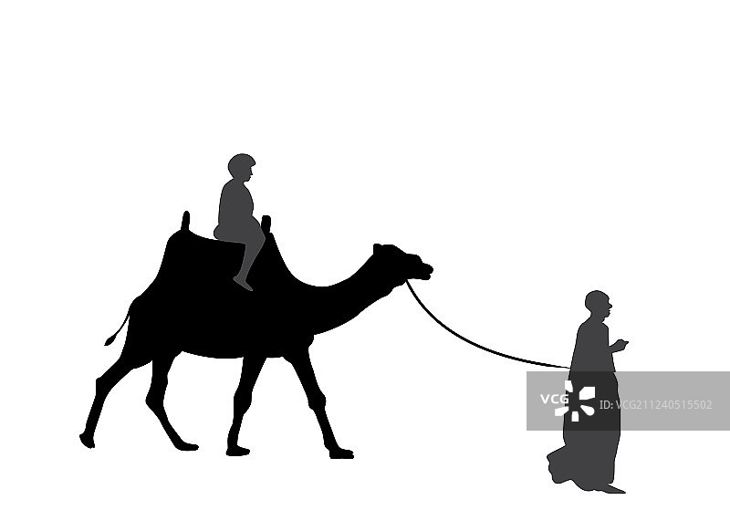 骆驼的黑白剪影图片素材