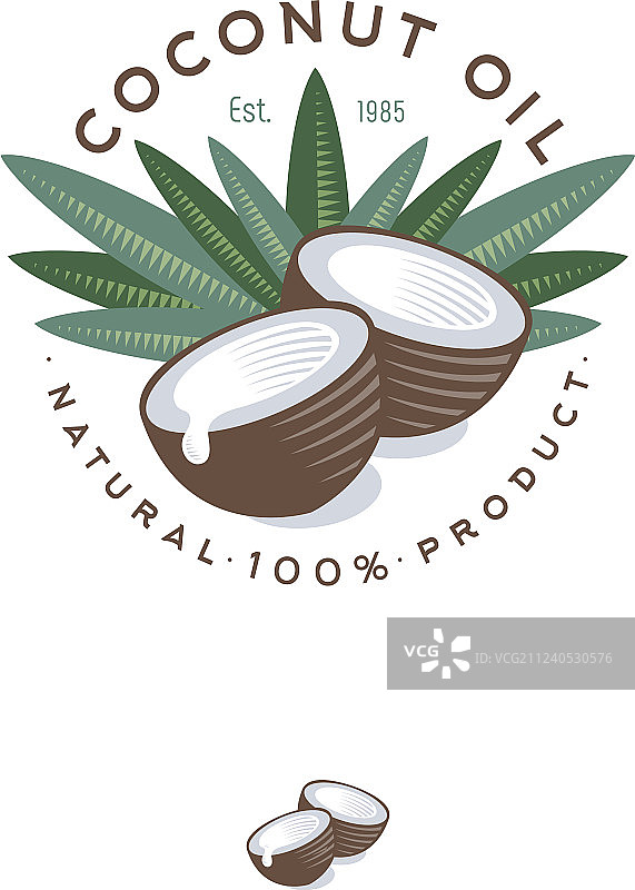 椰子叶对比雕刻图片素材