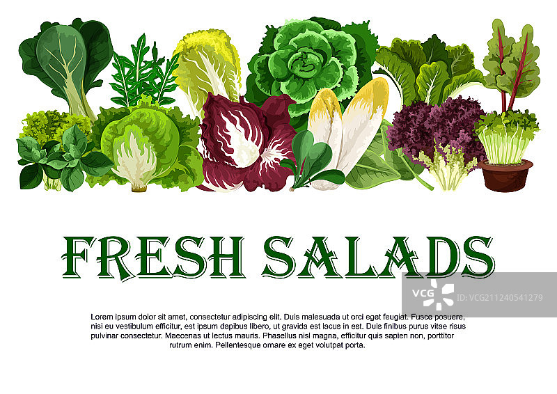 新鲜蔬菜沙拉海报图片素材