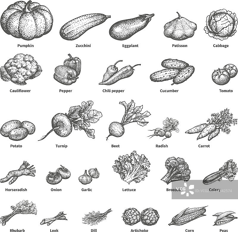 手绘蔬菜涂鸦素描图片素材