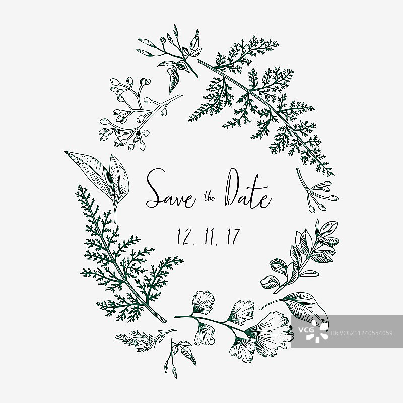 草本植物叶子花环图片素材