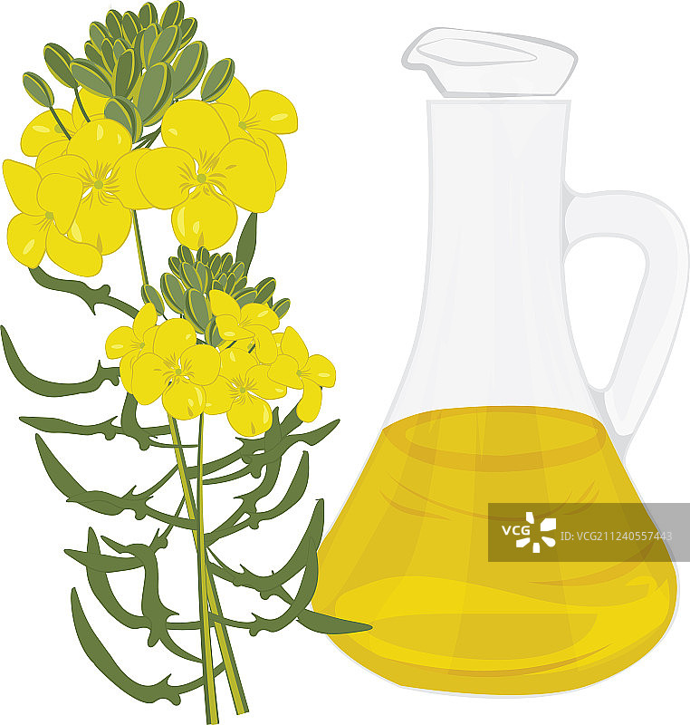 分离的有机芥末油图片素材