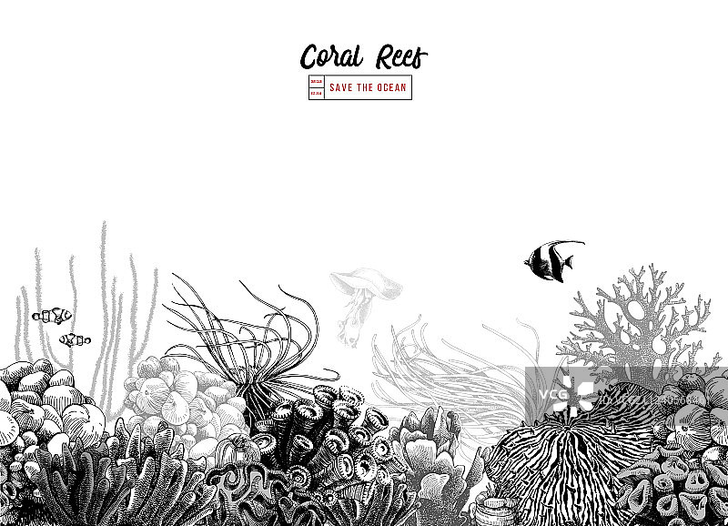 手绘黑白珊瑚边框图片素材