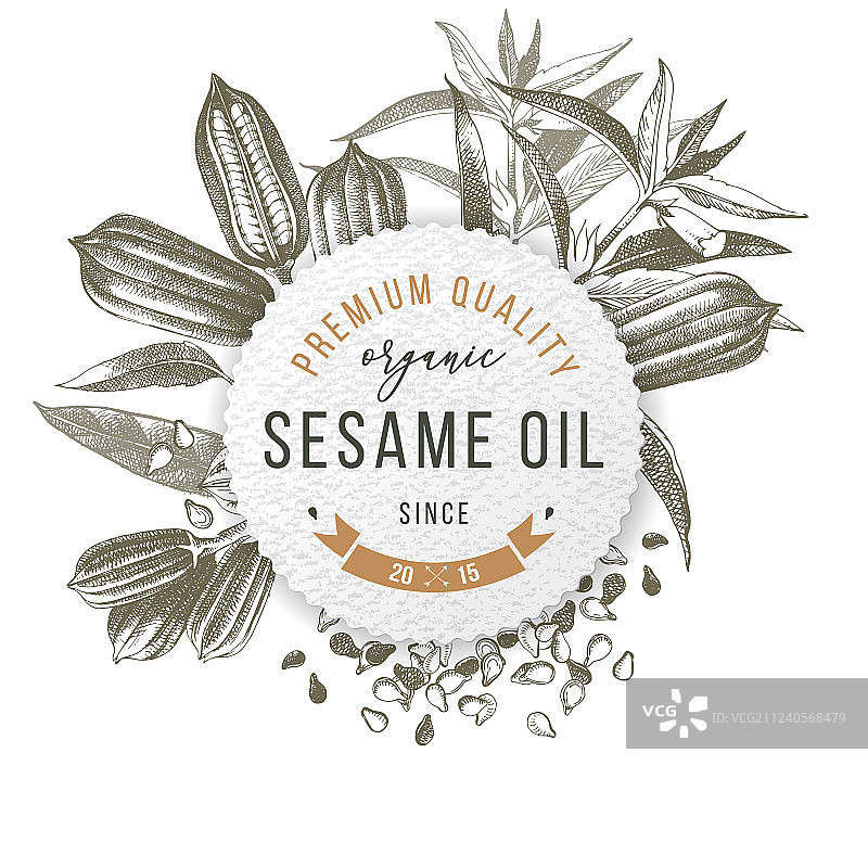 芝麻植物种子类型设计标志图片素材