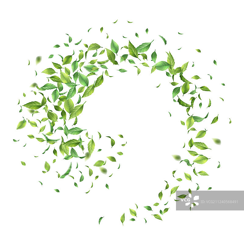 绿色飞叶图片素材