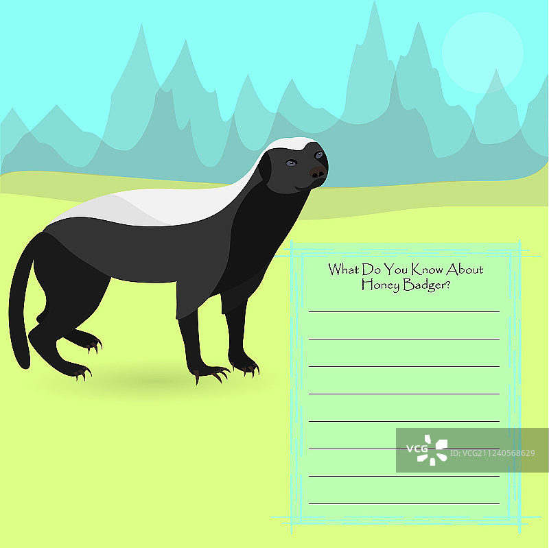 非洲蜜獾图片素材