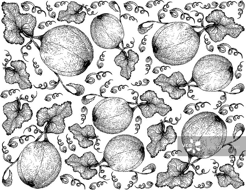 手绘蜜瓜背景图片素材