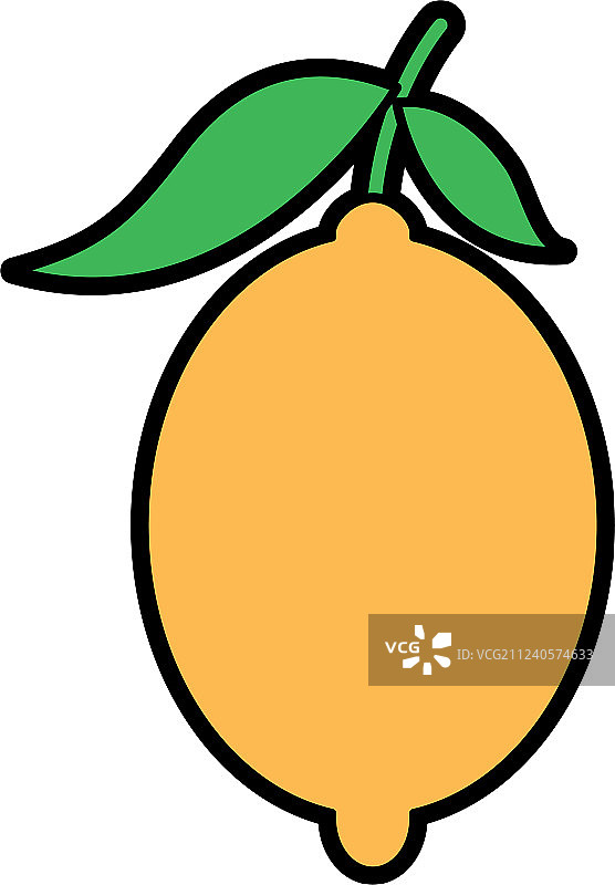 新鲜柑橘类水果和柠檬叶图片素材