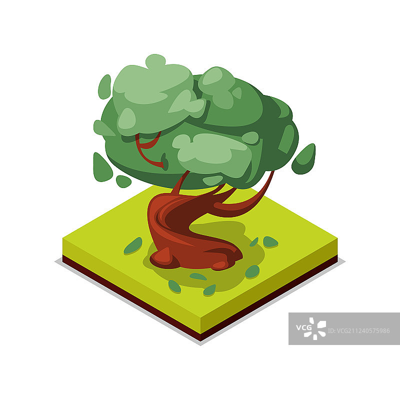 2.5D欧洲山毛榉树图标图片素材