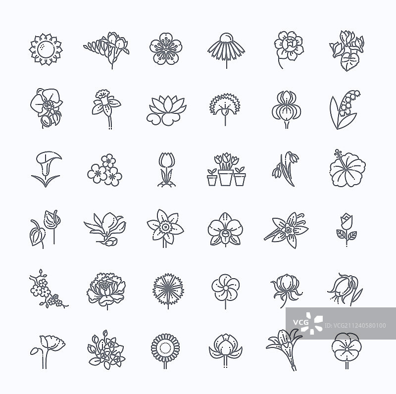 花朵图标合集图片素材