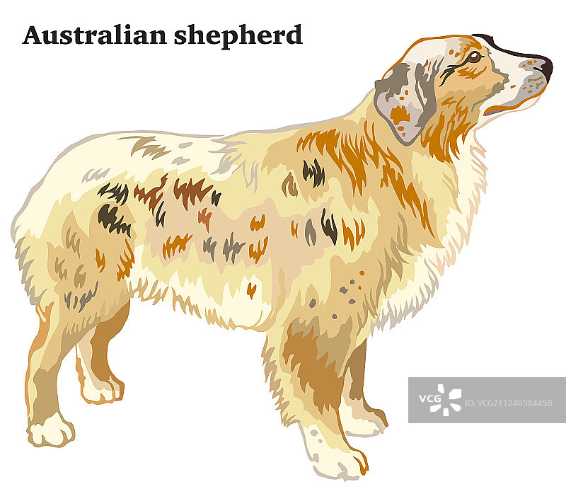 彩色装饰狗站立肖像图片素材