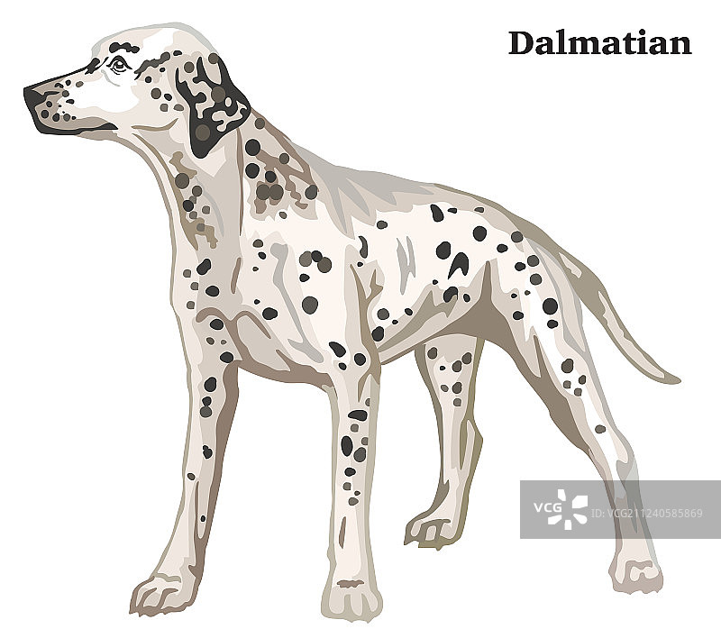 彩色装饰狗站立肖像图片素材