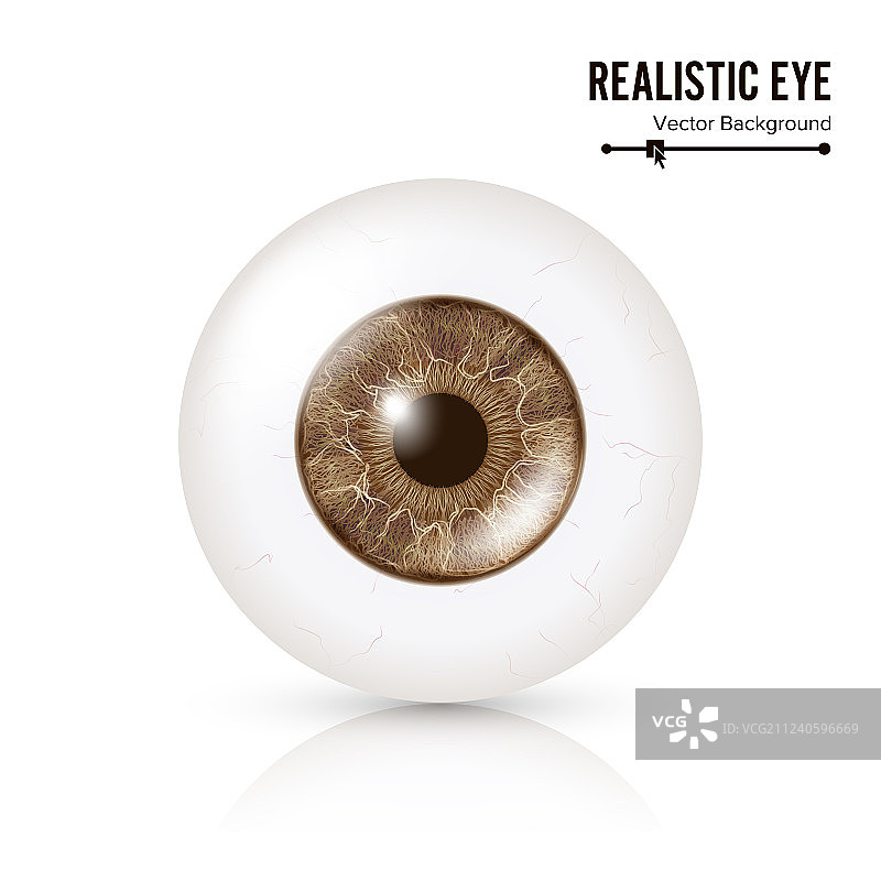 逼真的人眼视网膜照片图片素材