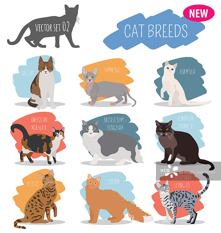 猫品种图标扁平风格白色背景图片素材