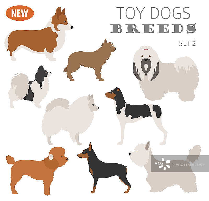 迷你玩具犬品种图标合集图片素材