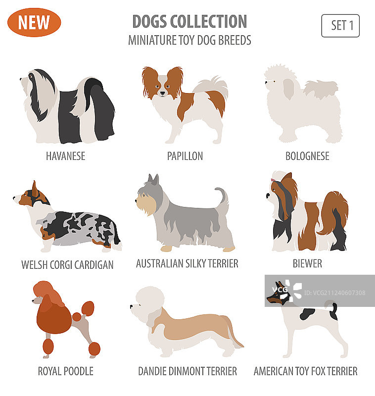迷你玩具犬品种图标合集图片素材