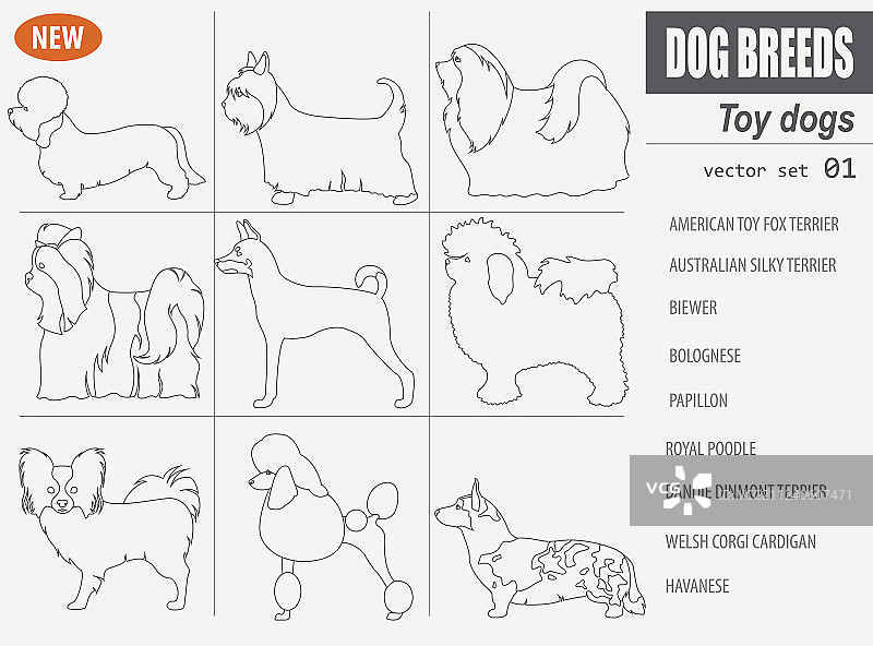 迷你玩具犬品种图标合集图片素材