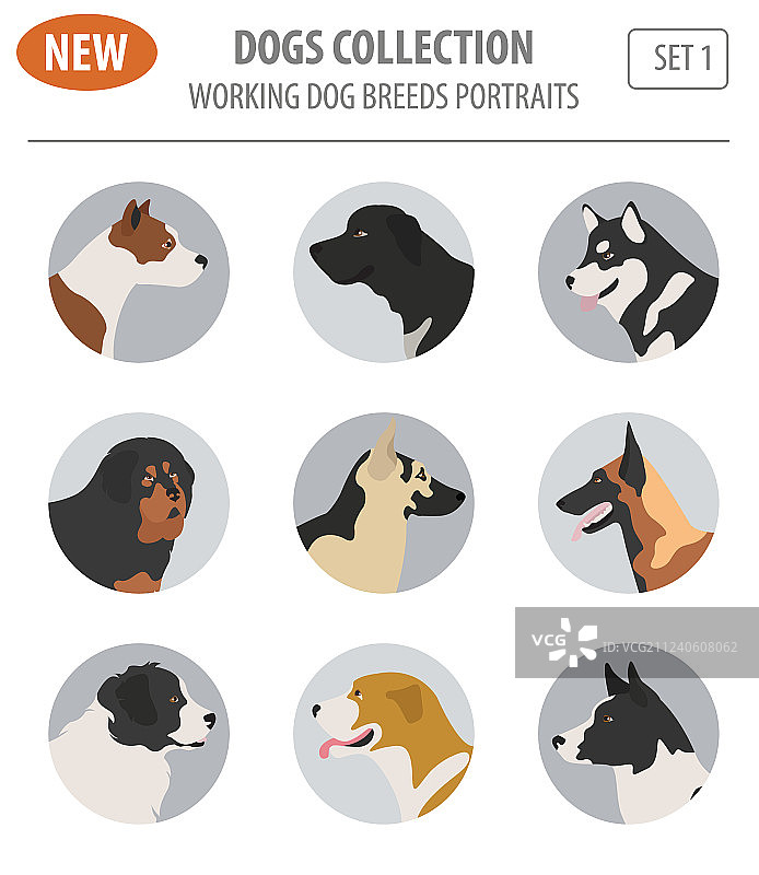 工作犬品种图标合集图片素材