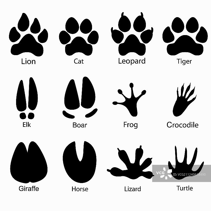 各种动物痕迹图片素材