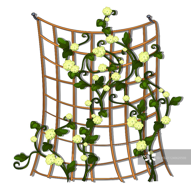 棕色绳网装饰树篱图片素材