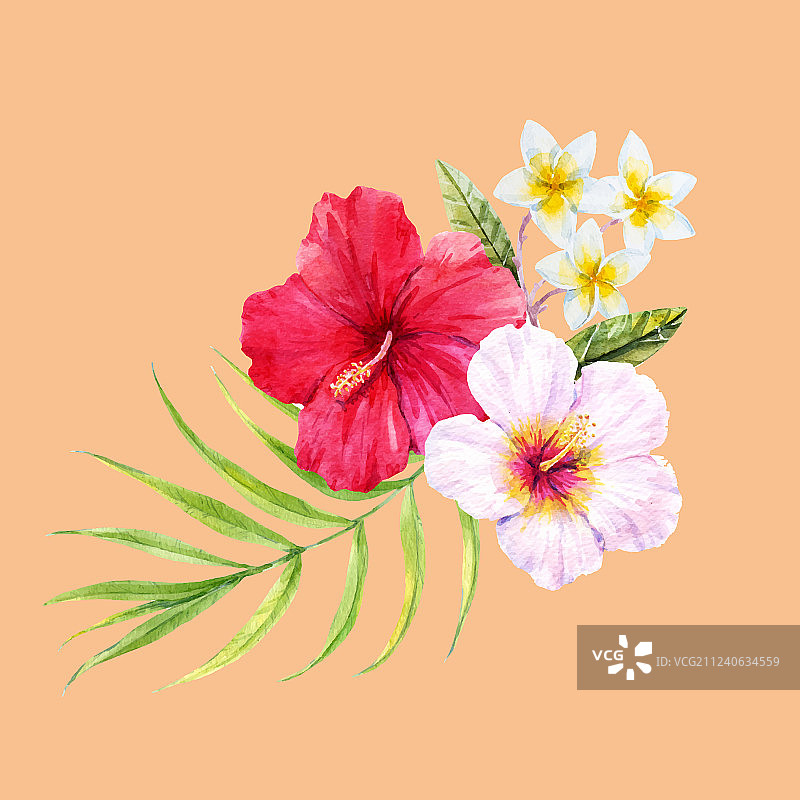 水彩热带组合图片素材