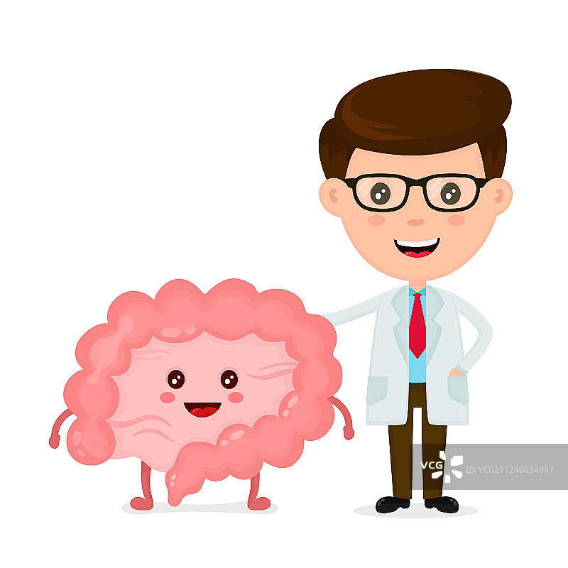 笑容可掬的医生与快乐健康的肠道图片素材