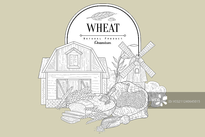 小麦复古素描图片素材