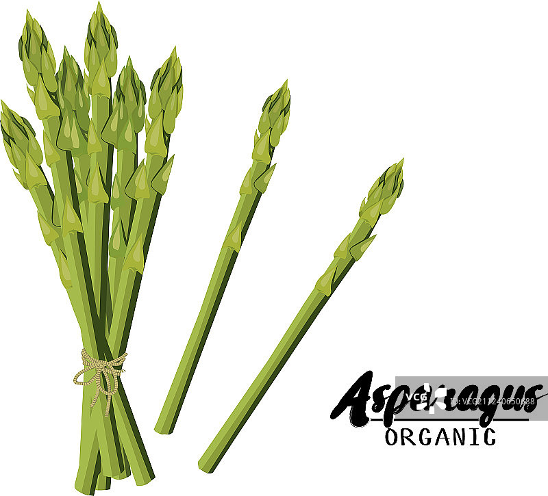 卡通成熟绿色芦笋图片素材