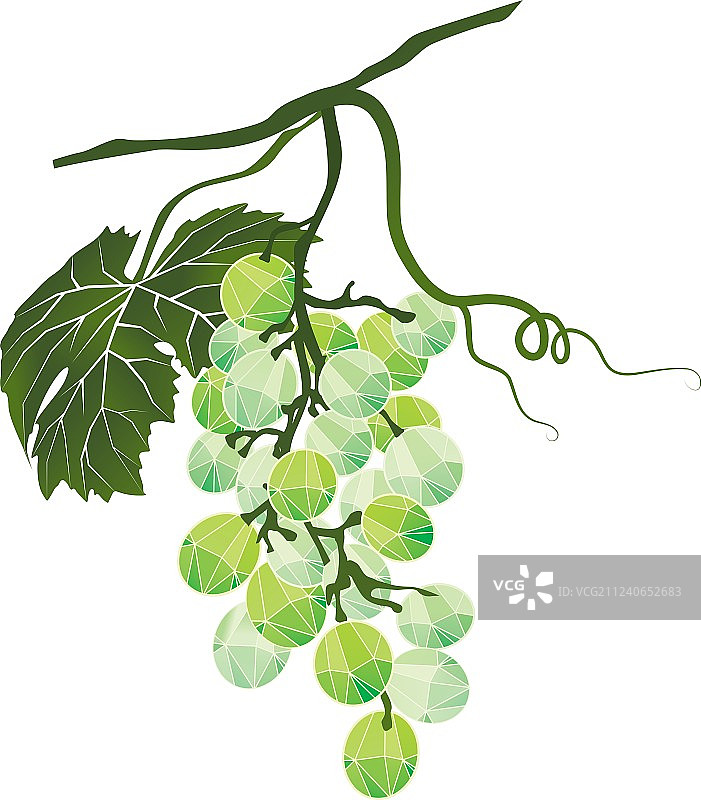 多边形风格的绿色葡萄图片素材