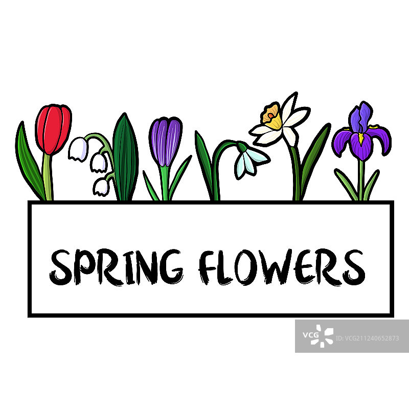 带花卉的模板图片素材