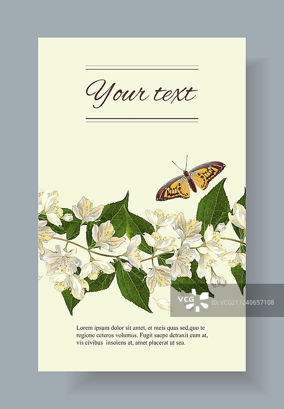 茉莉花banner图片素材